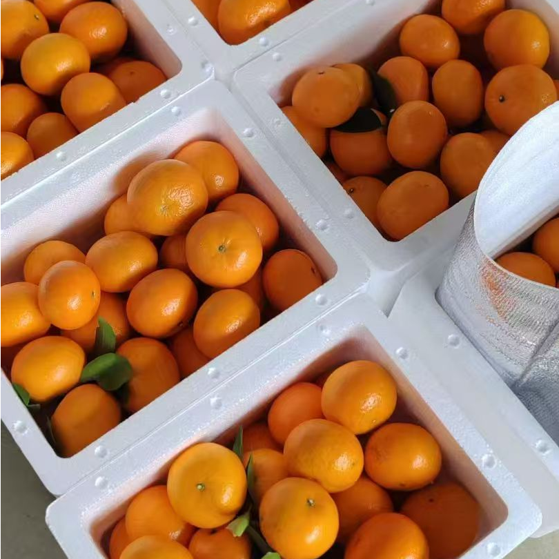 广西武鸣沃柑新鲜水果