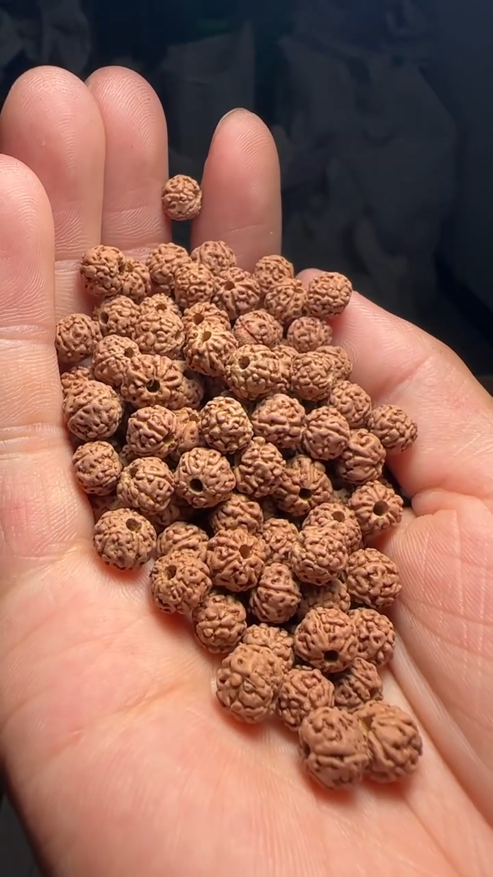 金刚菩提手串非全品原桩一代龙散籽7-8mm一份一百颗