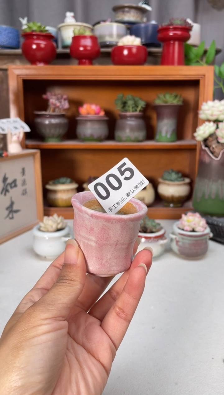 瓷片005知木小芳花盆