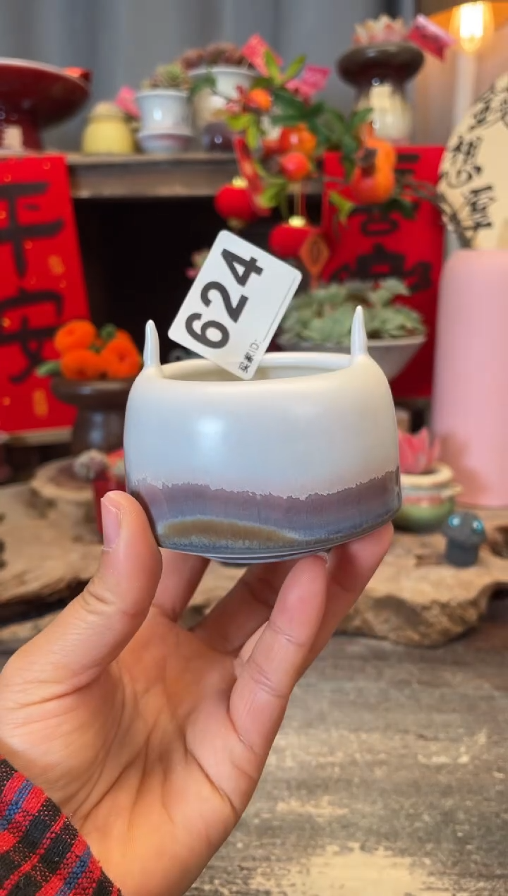 【闪购商品】摆件624知木小芳花盆