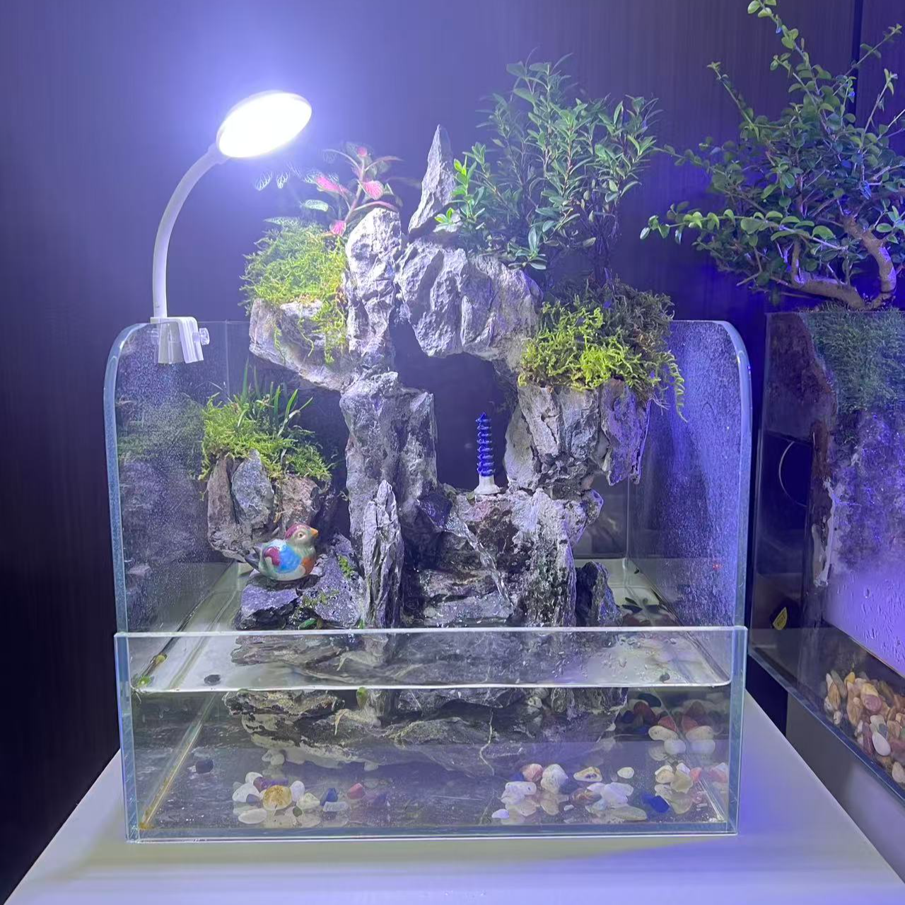 洞天观水可拆卸30*25*25青龙石绿植造景