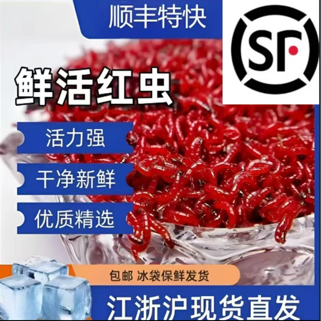 顺丰包邮中小号拉饵肉夹馍