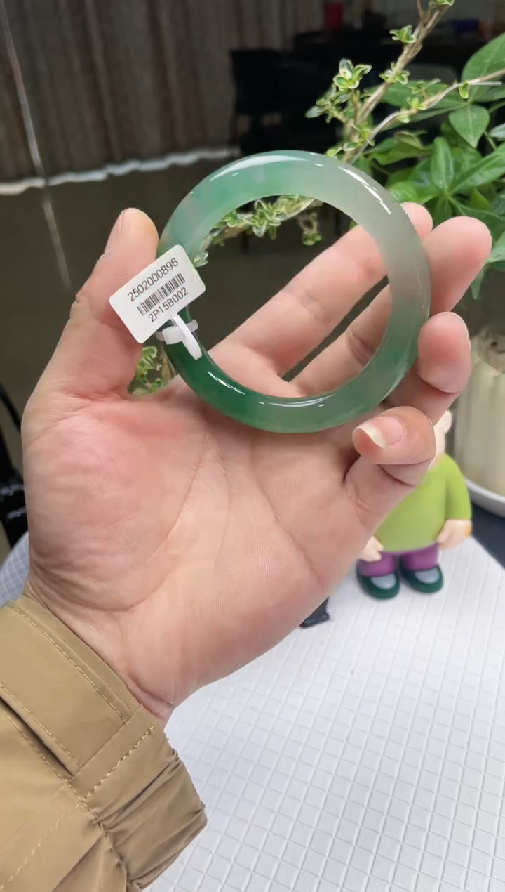 【闪购商品】石英质玉手镯未镶嵌非洲翠手镯多样性发货