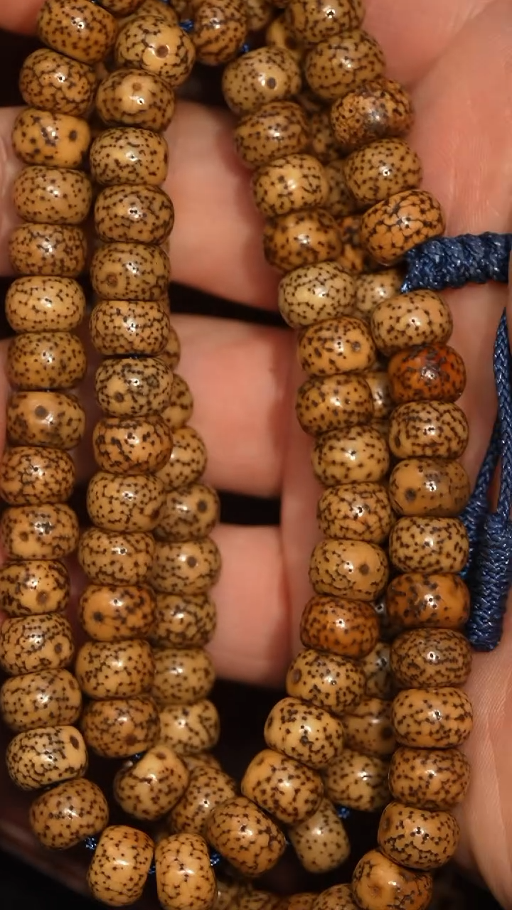 冲赛康胡子哥，藏传念珠194