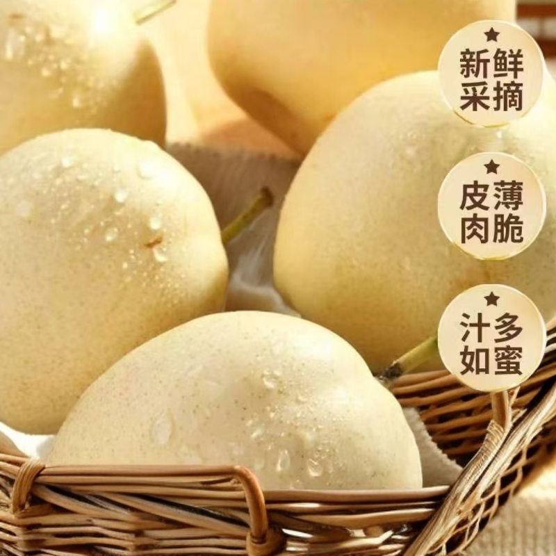 《嘉禾尤尚甄选》山东酥梨汁多无渣礼盒装4/6/8