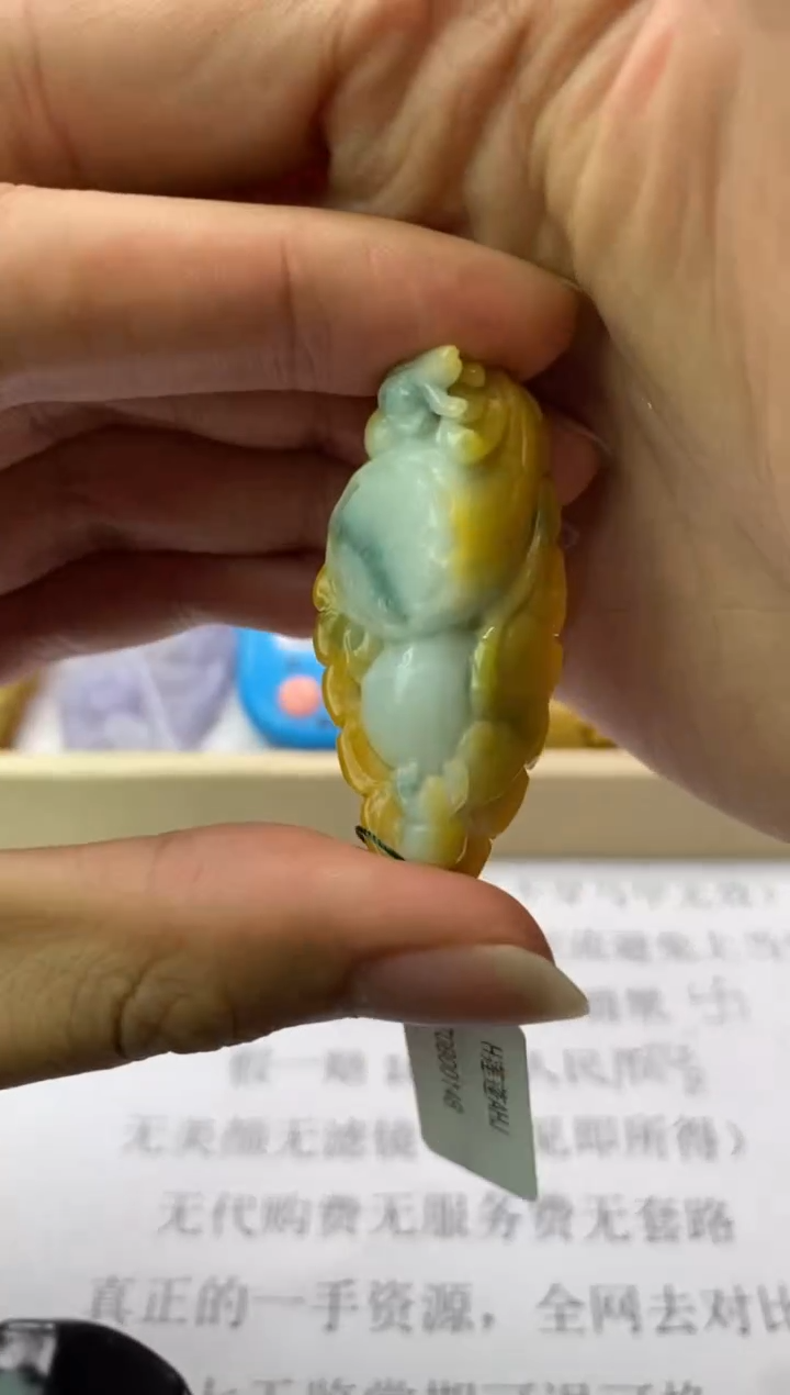 翡翠未镶嵌颈饰天然翡翠