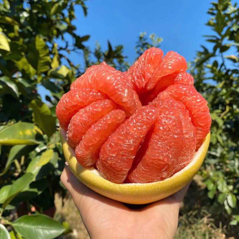 福建平和红心蜜柚当季新鲜水果皮薄肉厚汁多爽口超甜D