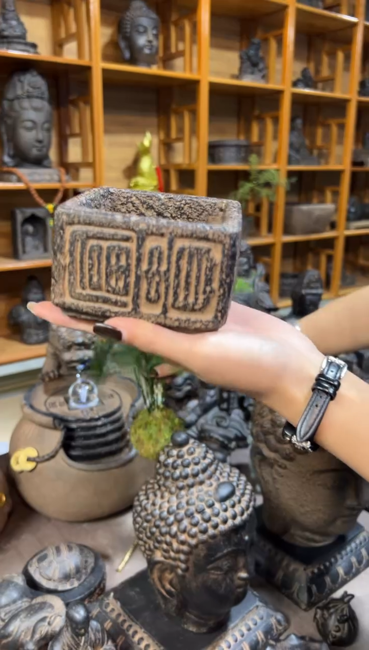 陶土【火山泥】小富贵