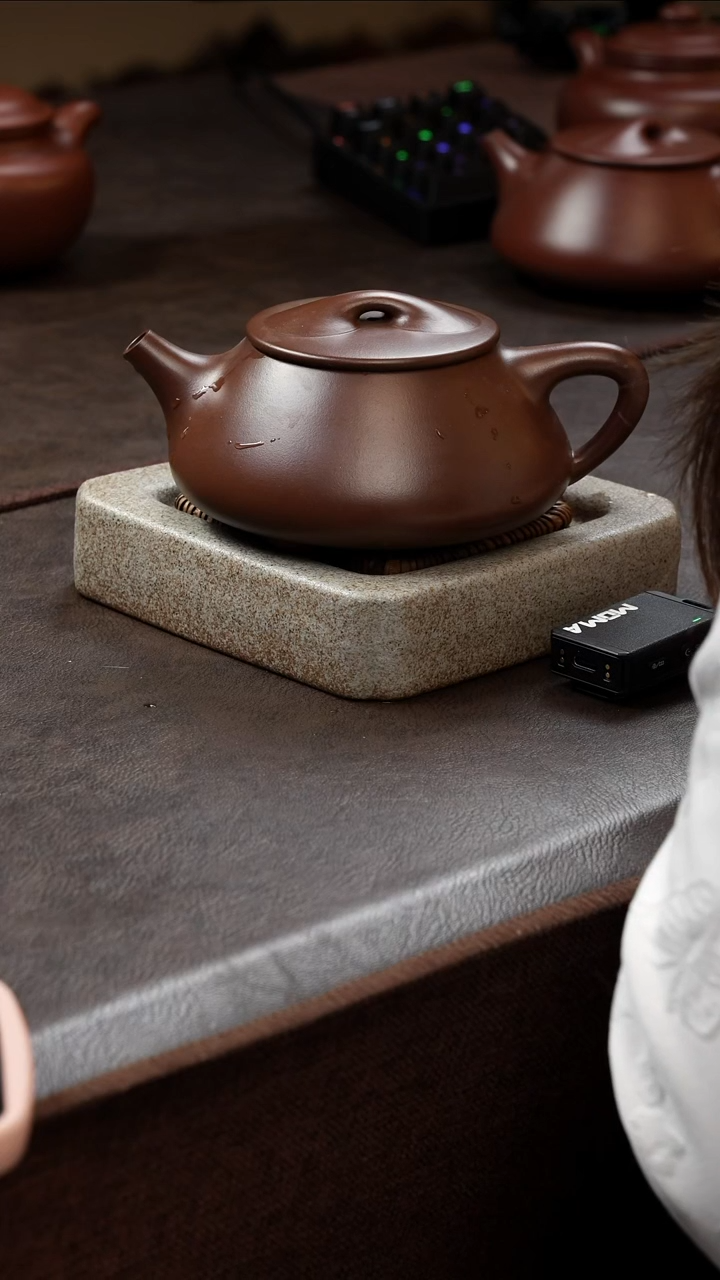 【闪购商品】紫砂茶壶11111111111111