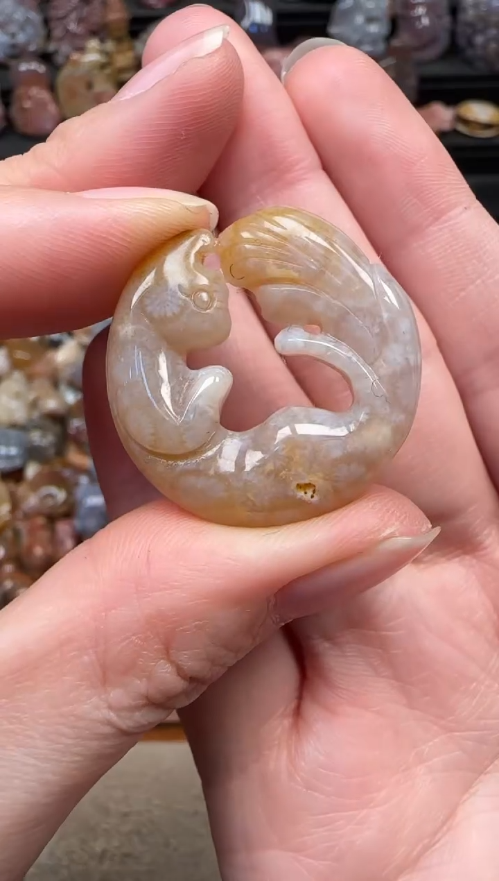 颈饰未镶嵌硅化珊瑚（珊瑚玉）560