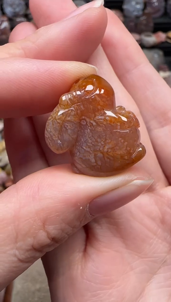 颈饰未镶嵌硅化珊瑚（珊瑚玉）261