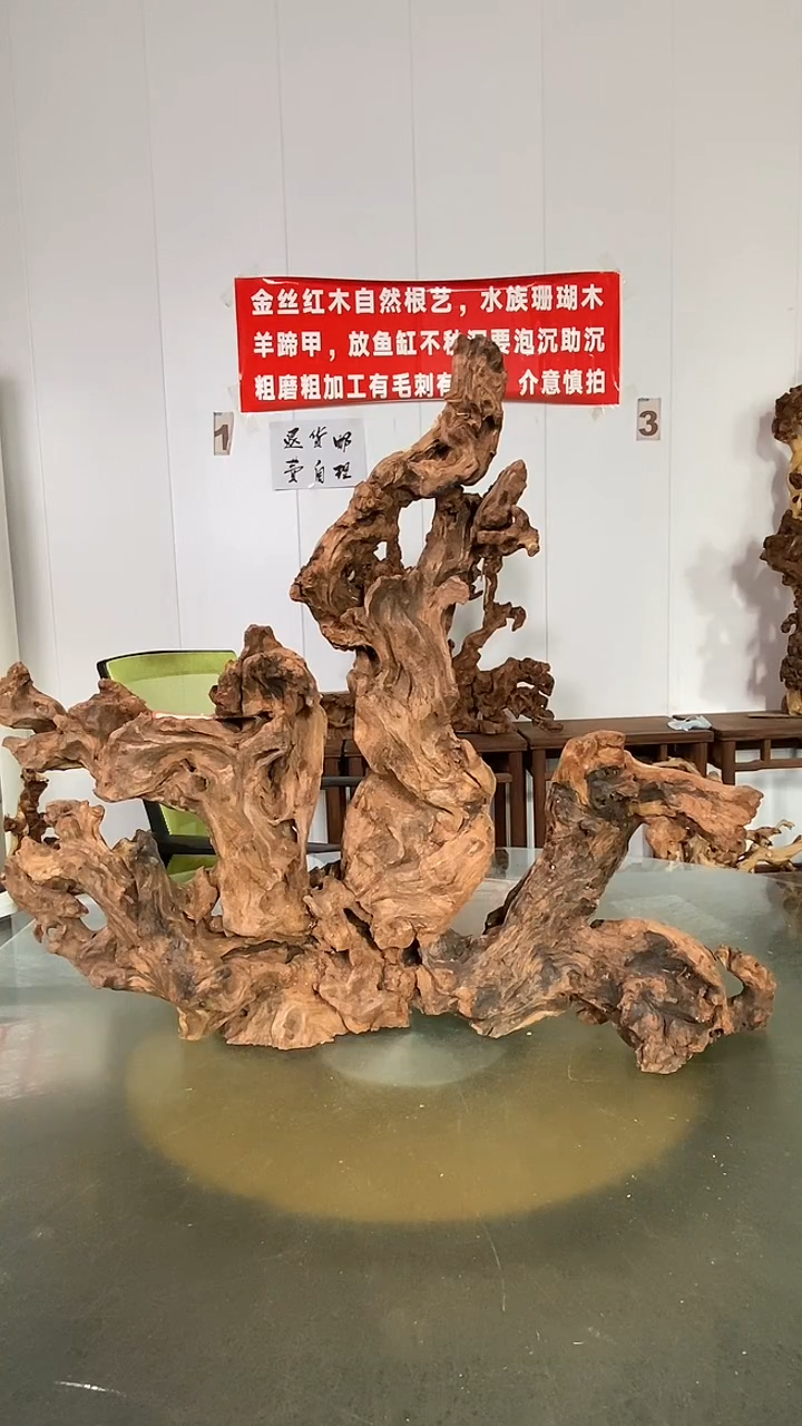 木迷*金丝红木 羊蹄甲