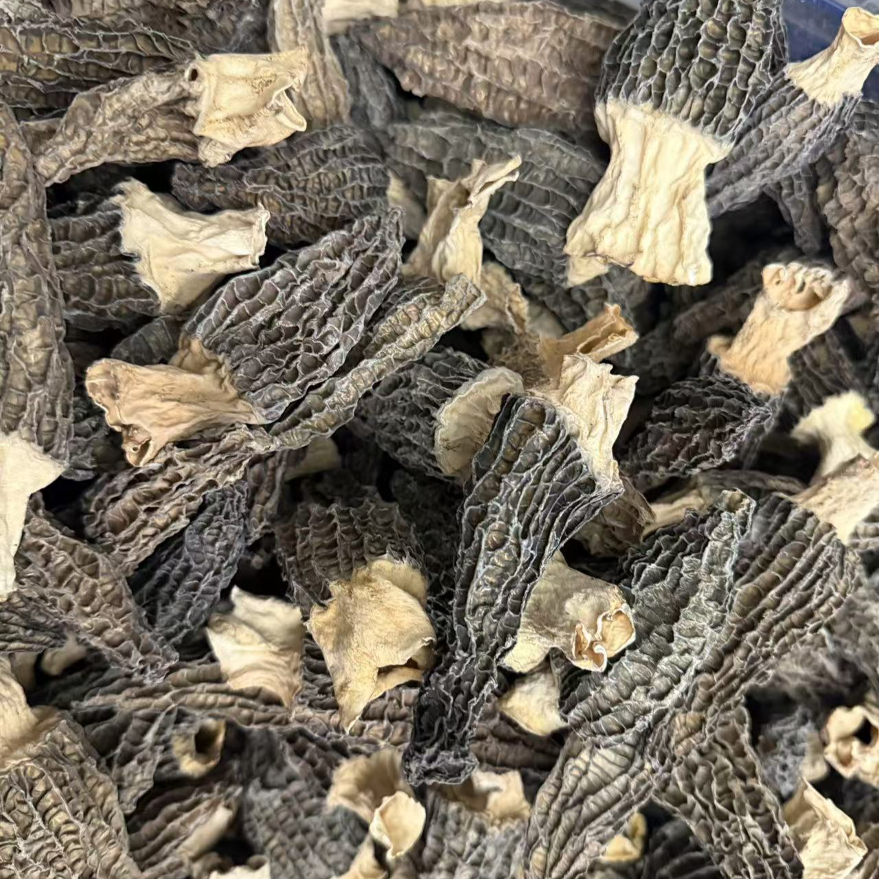 （鱼多多）精选羊肚菌肉干