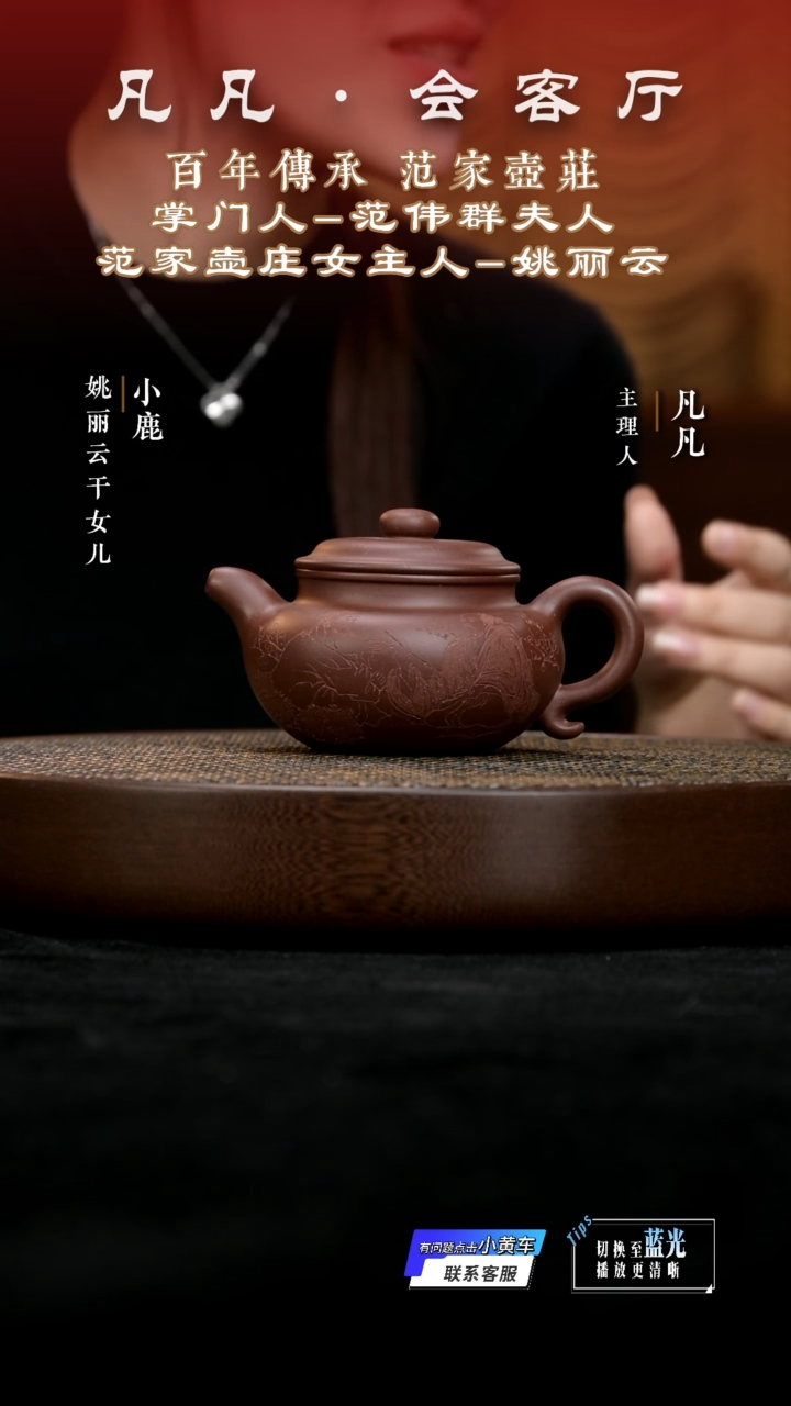 茶壶紫砂凡凡会客厅&姚丽云12 紫砂壶