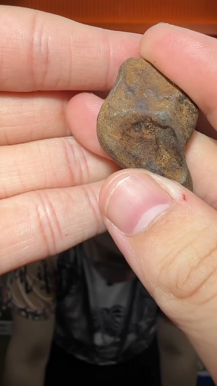 沉香吊坠212号天然野沉水挂件多样性发一