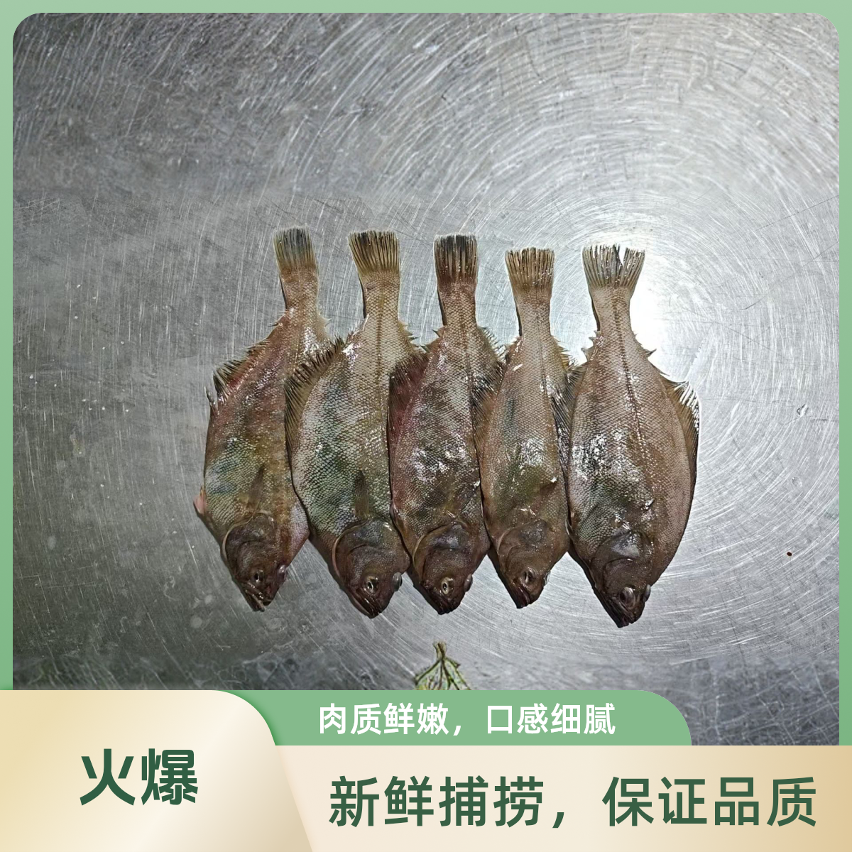 荣成新鲜急冻小偏口鱼顺丰包邮刺少肉嫩新鲜美味