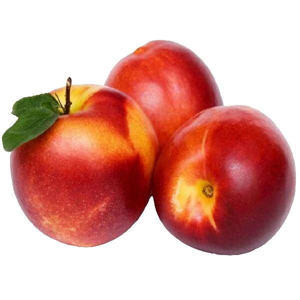 大连黄心 油桃 5斤装