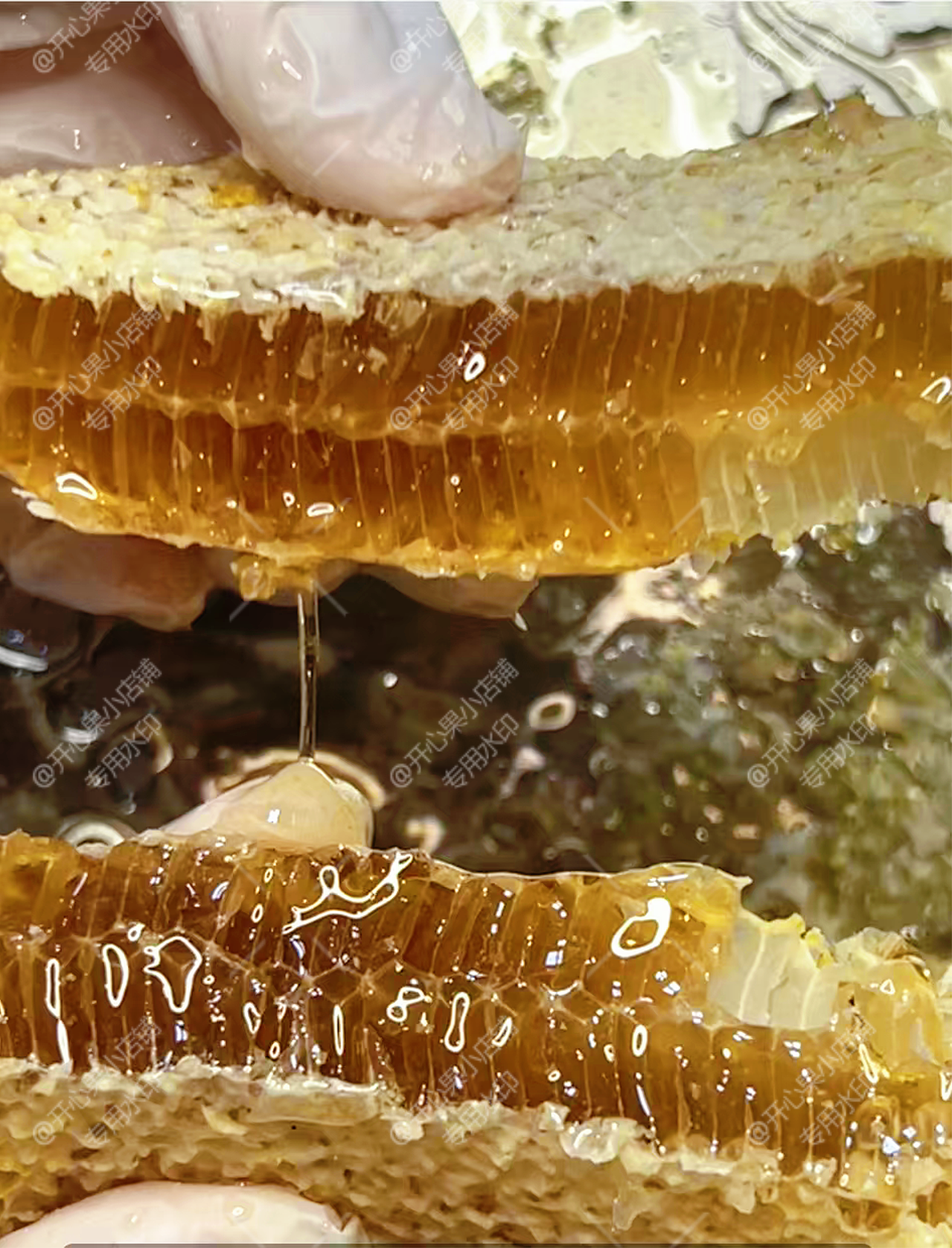 【蜜多版】蜂巢蜜 天然坠蜜脾 蜂巢胚 嚼着吃的蜂巢 