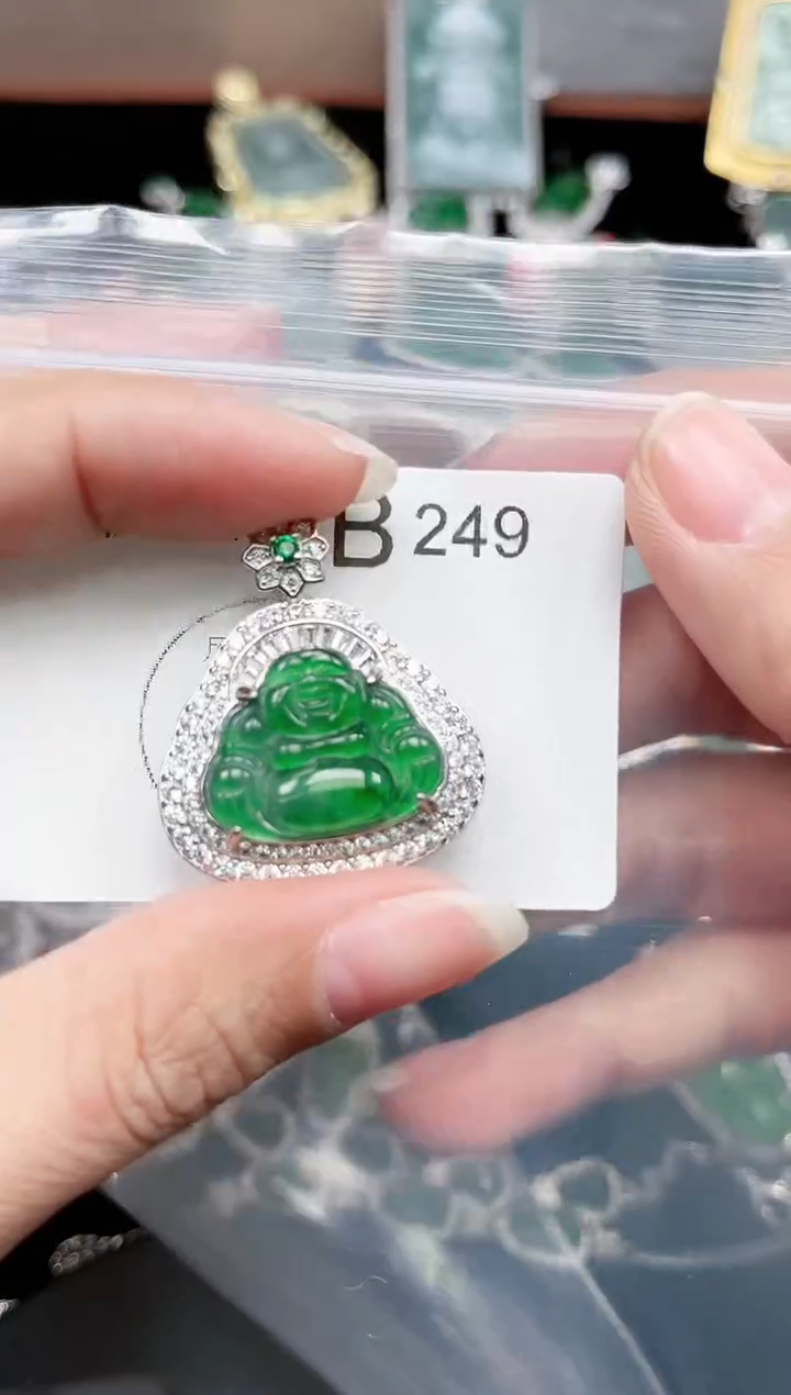 【闪购商品】翡翠颈饰未镶嵌249赠皮绳