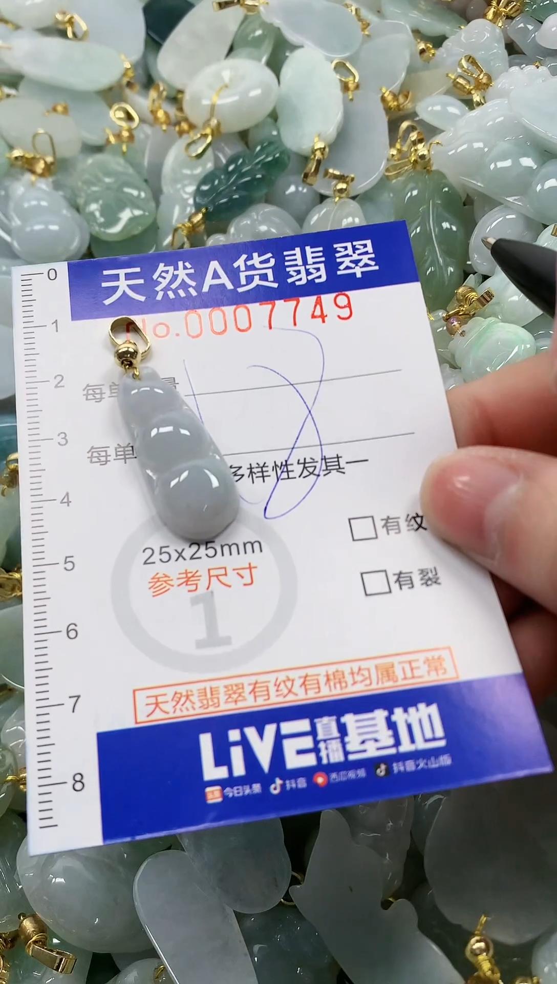 颈饰未镶嵌翡翠纯天然a货翡翠1
