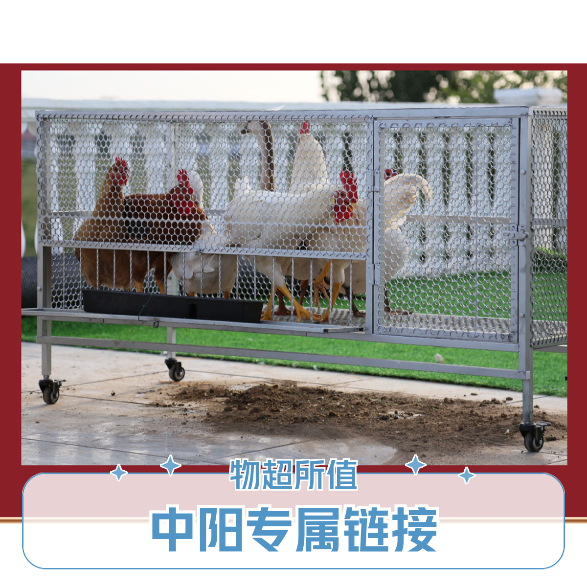 中阳专属鸡鸭鹅笼户外养殖笼家禽养殖稳固耐用厂家家禽养殖笼