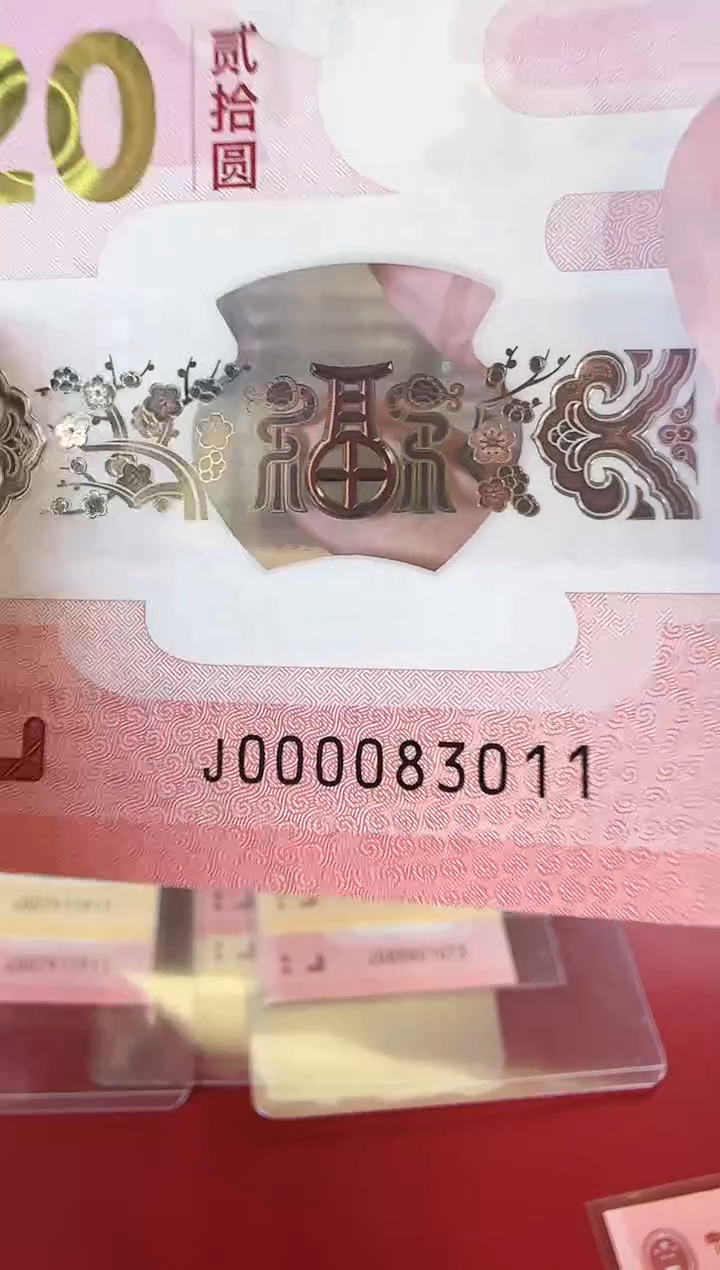 【闪购商品】塑料25蛇钞000083011单张裸