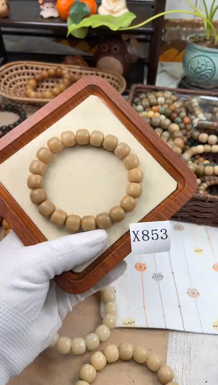 手串菩提根/象牙果x853干磨海子天然13