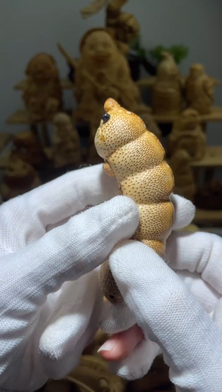 竹寧*爆笑虫子111111111