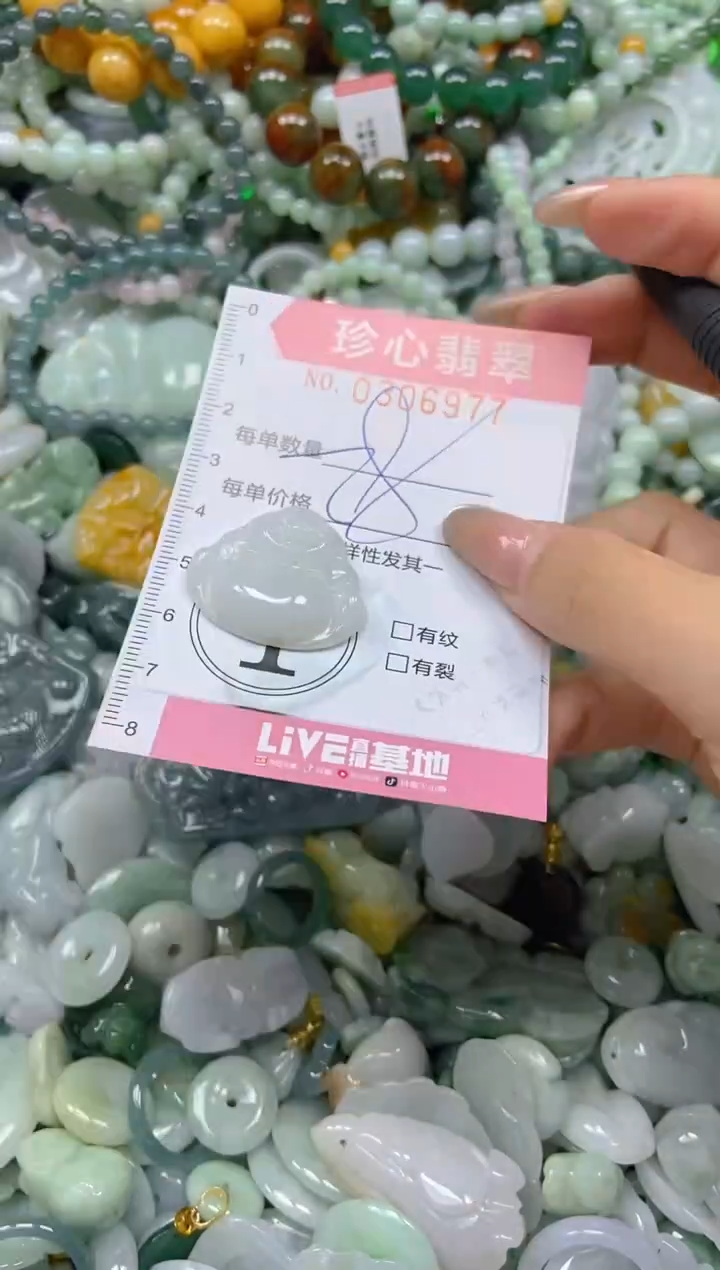 翡翠未镶嵌颈饰闪购0306977