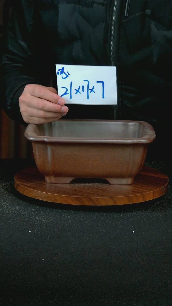 【闪购商品】紫砂T39