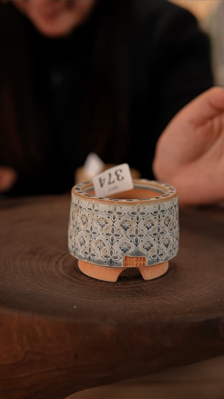 【闪购商品】陶瓷2-13-374默认有瑕口5.5