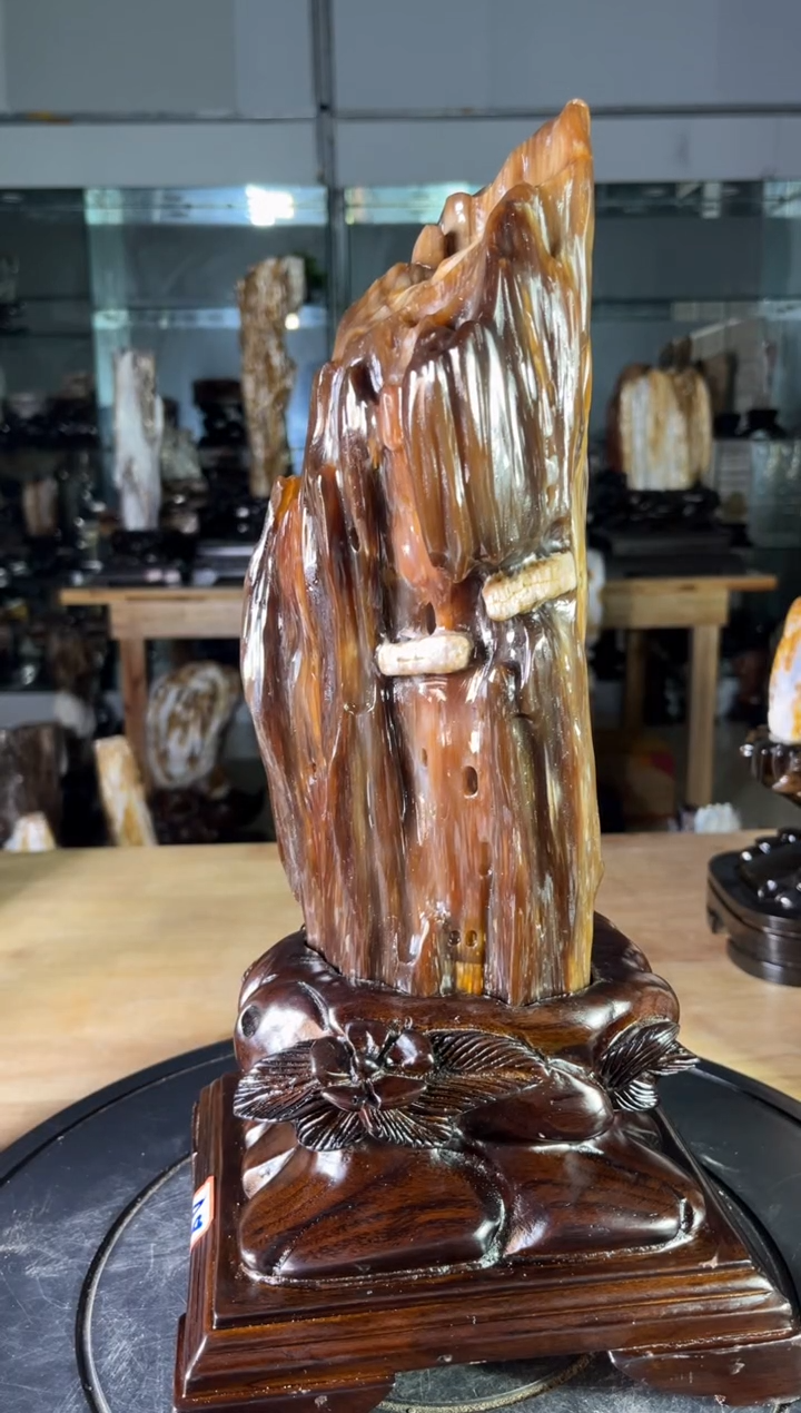 【闪购商品】硅化玉珠宝奇石未镶嵌1