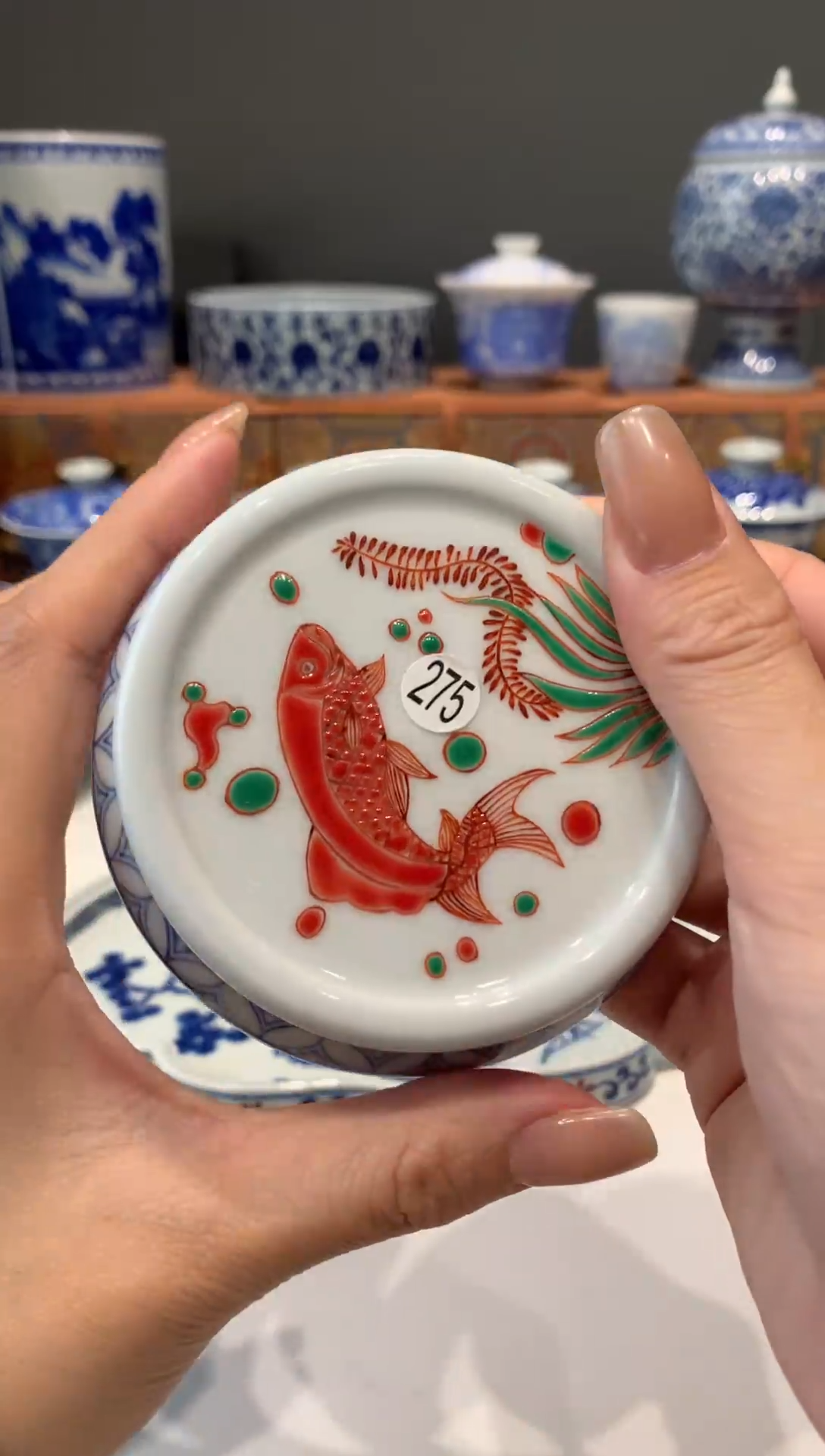 【闪购商品】275红绿彩鱼藻的盖置额