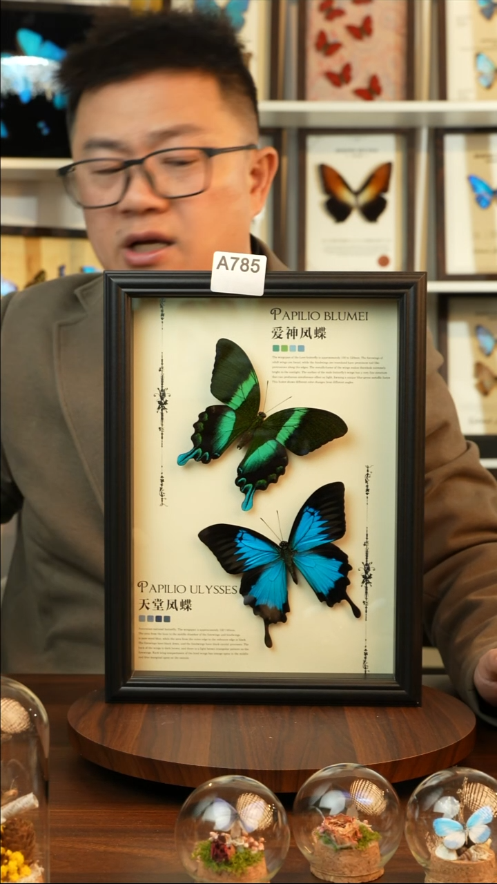 爱神凤蝶天堂凤蝶组合款(A4欧式黑框)A785