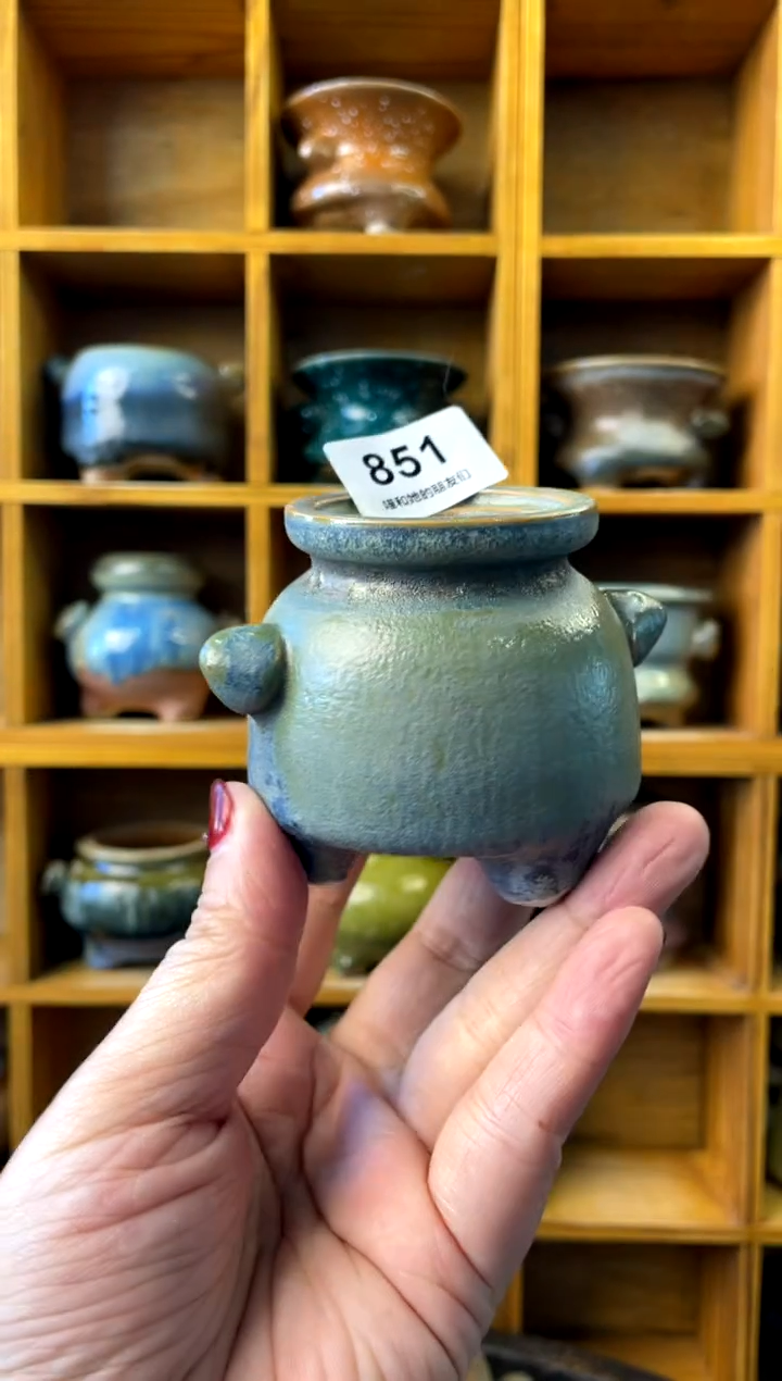 【闪购商品】陶851