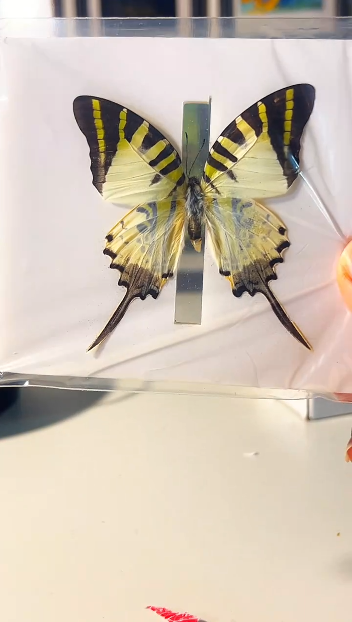 有机玻璃15484855