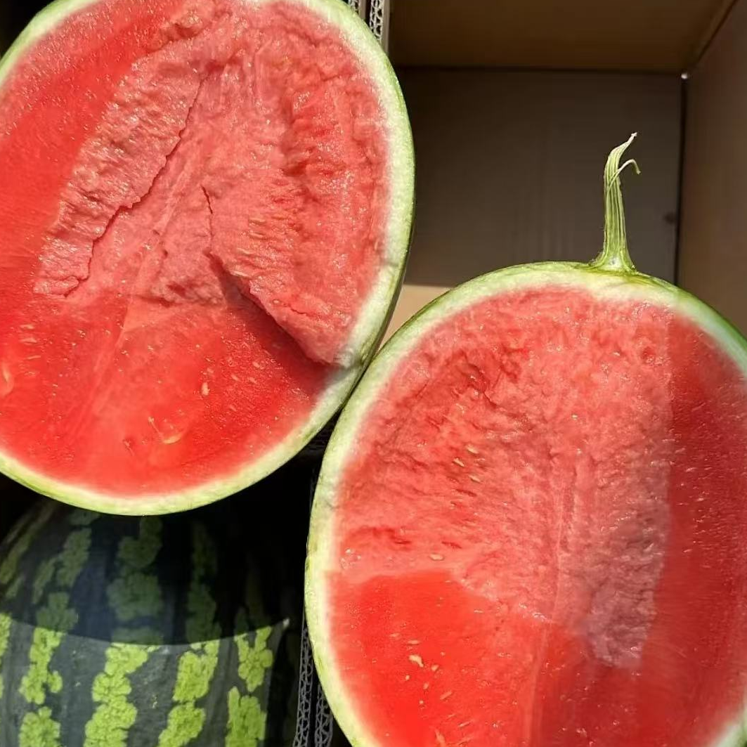 【顺丰】盐城 脆甜甘美4K西瓜单颗5-8斤 不是"战神"