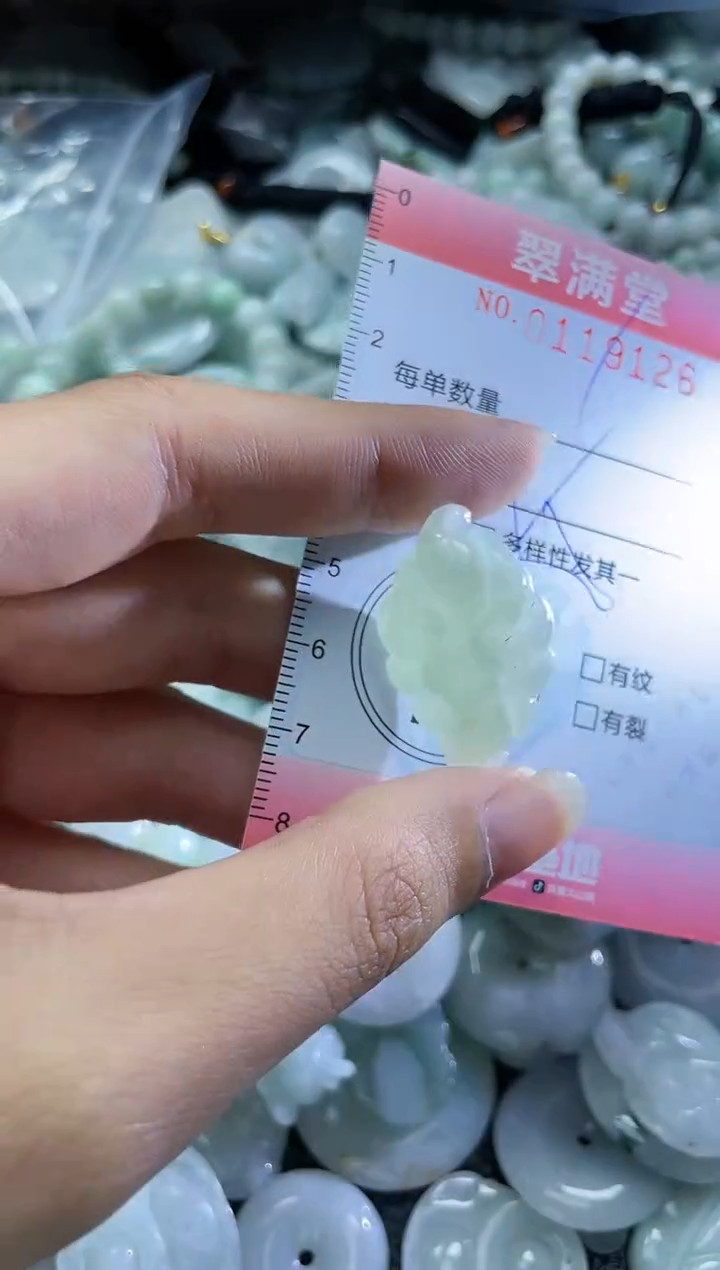 【闪购商品】翡翠未镶嵌颈饰闪购0119126