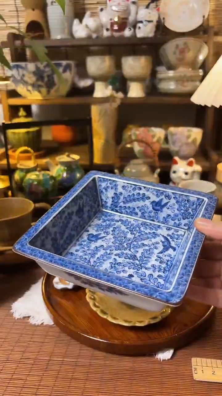 瓷片喵喵家都是大漂亮