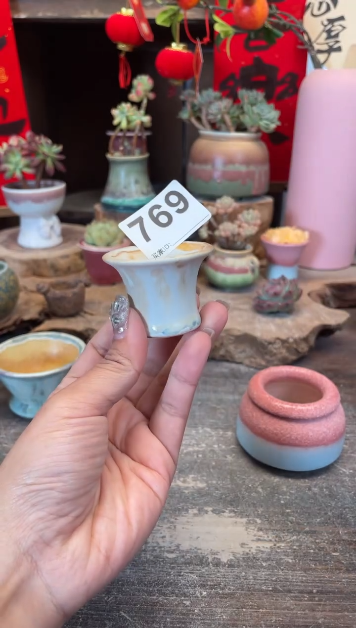 【闪购商品】摆件769知木小芳花盆