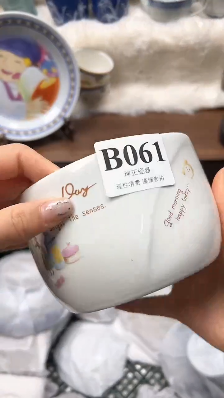 【闪购商品】瓷片          B061