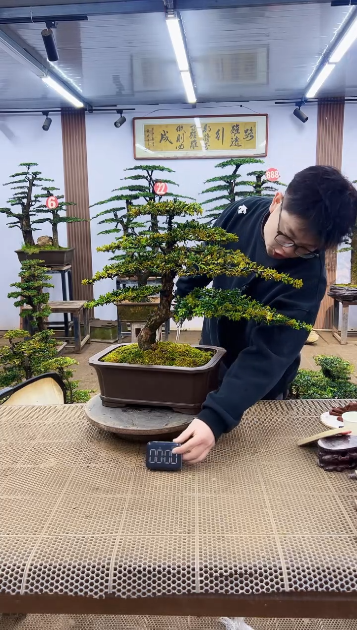 【闪购商品】一物一拍，所见即所得