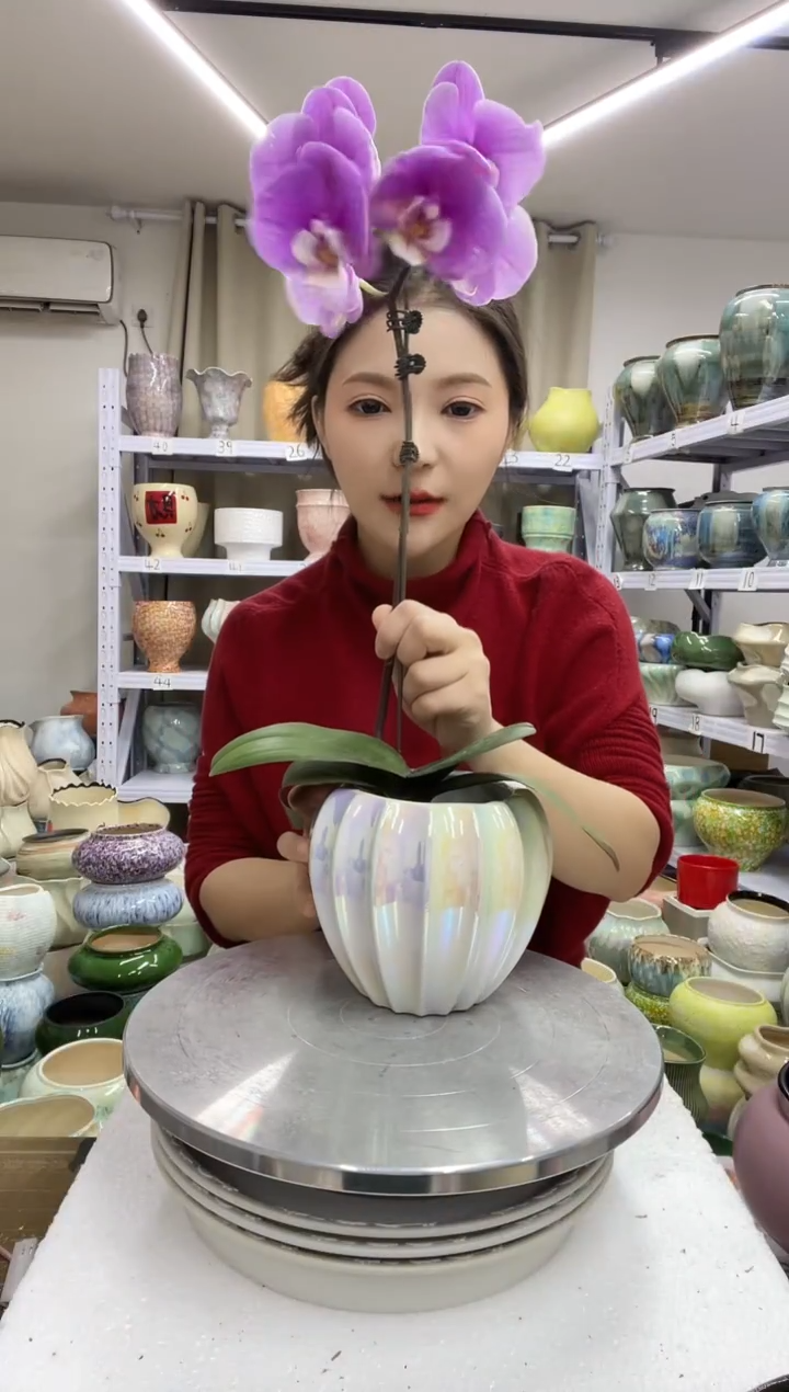 【1.3】花盆尺寸高13： 口：10