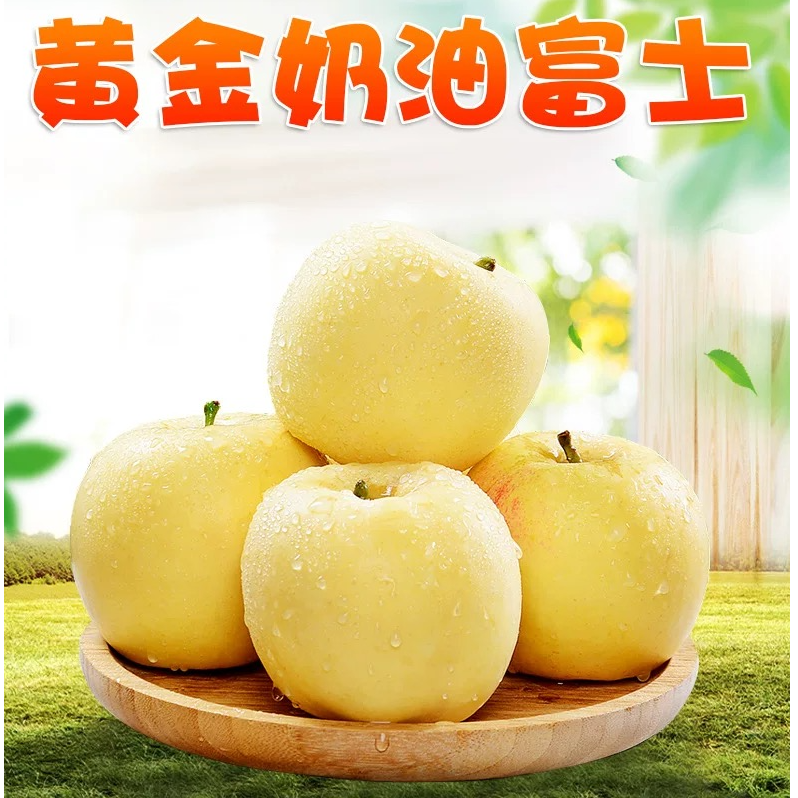 山东烟台黄金奶油苹果当季新鲜果园直发 脆甜多汁