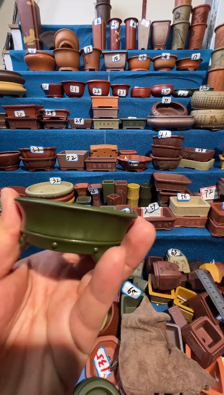 【闪购商品】紫砂紫砂花盆6.5*2