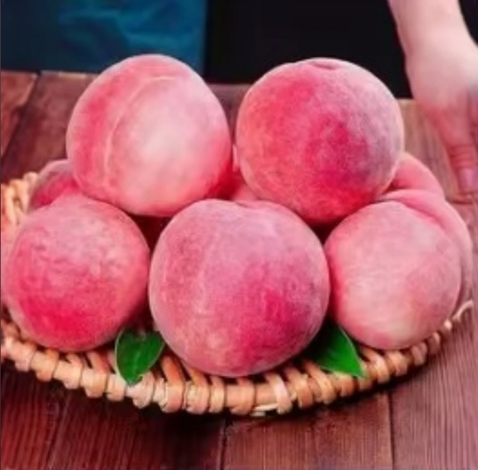 RL新鲜采摘当季水蜜桃脆爽多汁新鲜水果水蜜桃