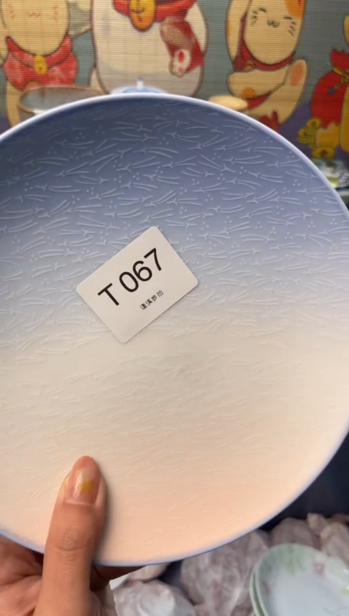 瓷片T**G       T067