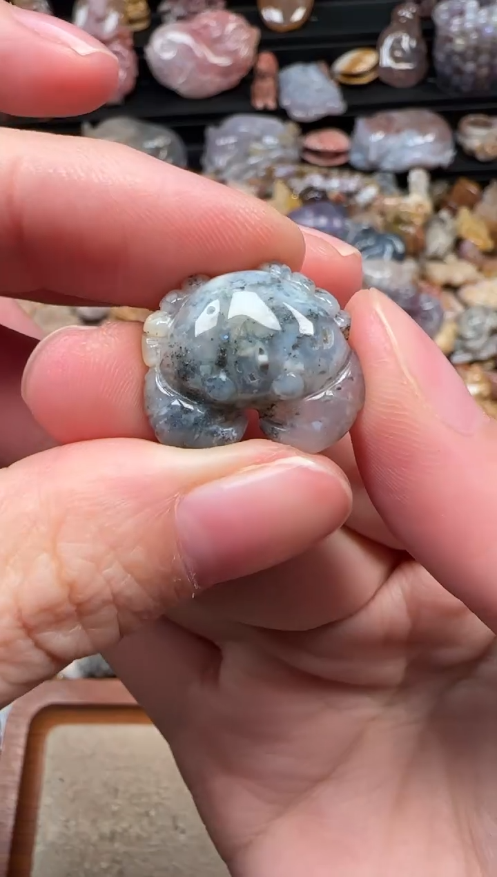 颈饰未镶嵌硅化珊瑚（珊瑚玉）786