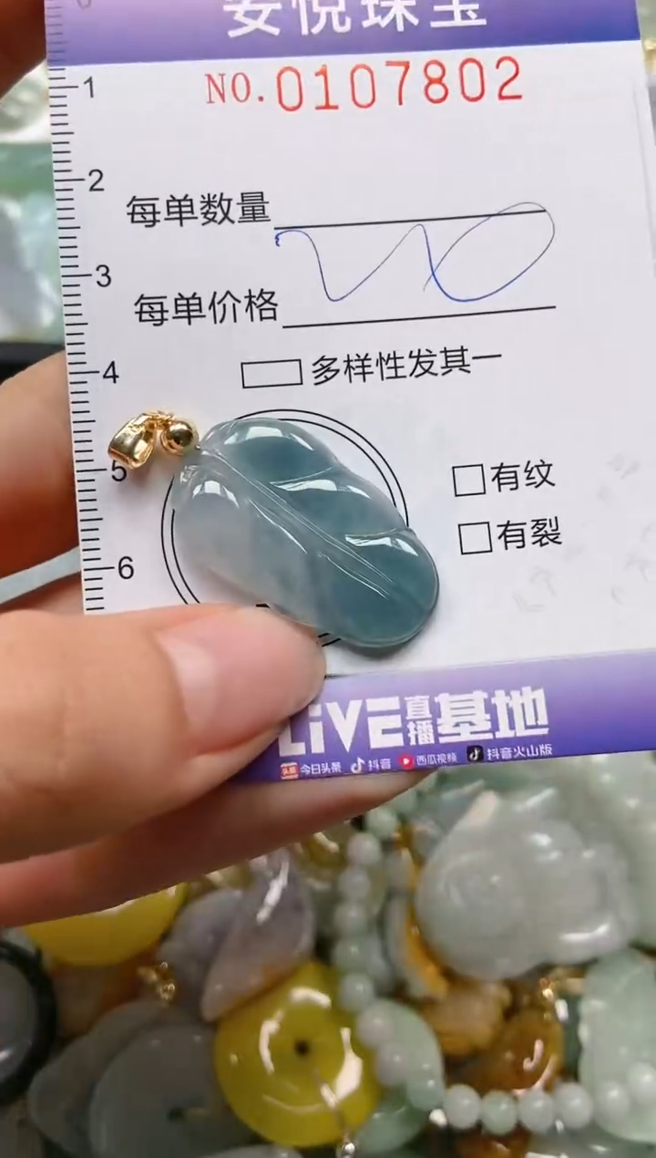 【闪购商品】翡翠颈饰未镶嵌闪购0107802