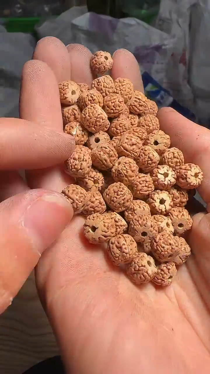 金刚菩提手串非全品龙切一代龙散籽8-9mm一份一百颗+